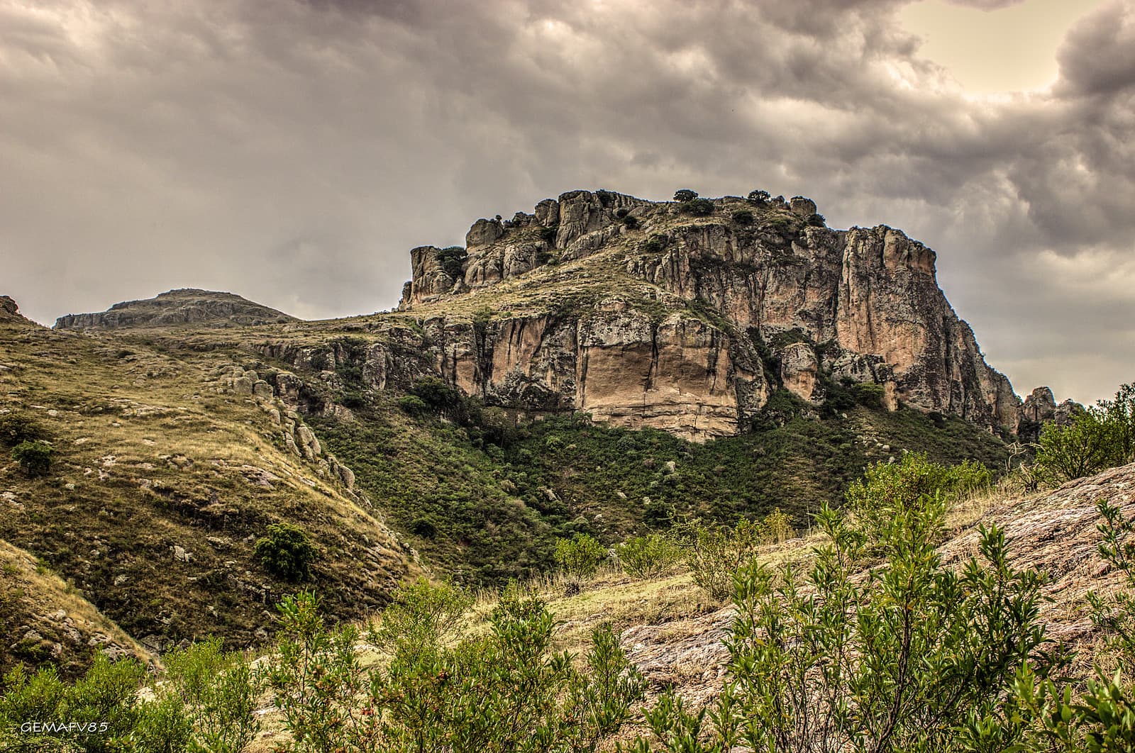 Pinche Fieston Pasado DV